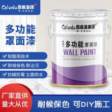 廠(chǎng)家防水內(nèi)外墻罩面漆光油抗臟污保色抗黃變顏色logo批發(fā)直供